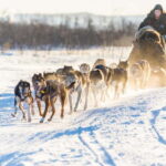 Professional photomemories - The Value of the Experience