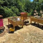 Promise Land Bee Farm Private Tour in Charleston - Who Will Love This Tour?