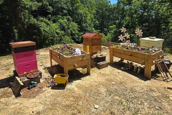 Promise Land Bee Farm Private Tour in Charleston - Who Will Love This Tour?