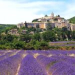 Provence: Valensole Lavender Fields Guided Full-Day Tour - The Practical Details