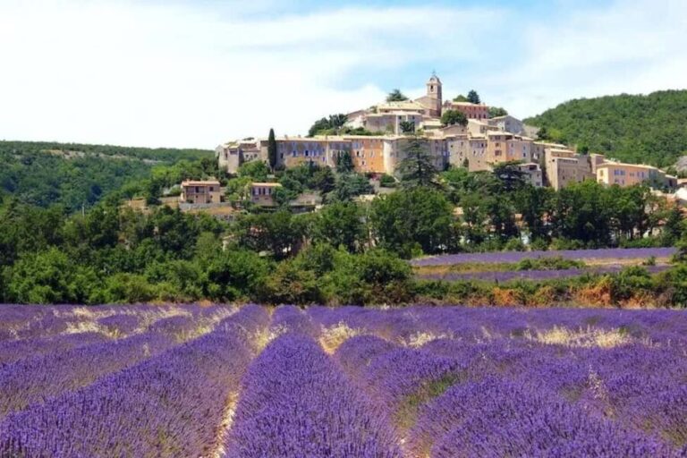 Provence: Valensole Lavender Fields Guided Full-Day Tour - The Practical Details