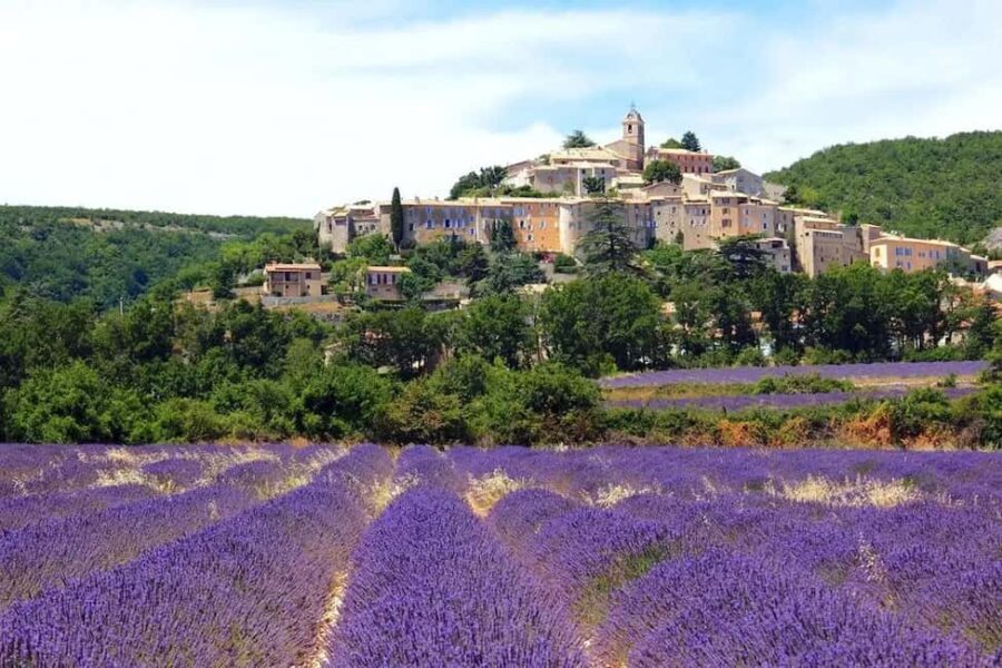 Provence: Valensole Lavender Fields Guided Full-Day Tour - The Practical Details