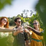 Provence Wine Tour - Small Group Tour from Cannes - Exploring the Vineyards and the Art of Provence Wines