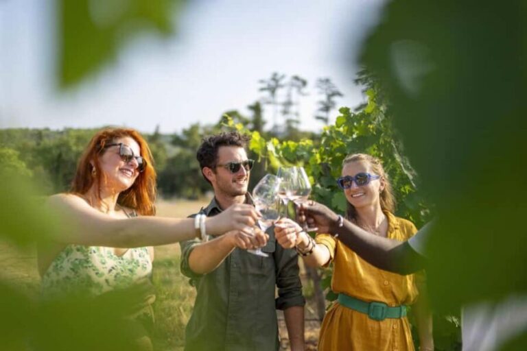 Provence Wine Tour - Small Group Tour from Cannes - Exploring the Vineyards and the Art of Provence Wines