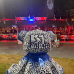 Puerto Banús: Private harbor tour with tapas & drinks - The Marina and Its Riches