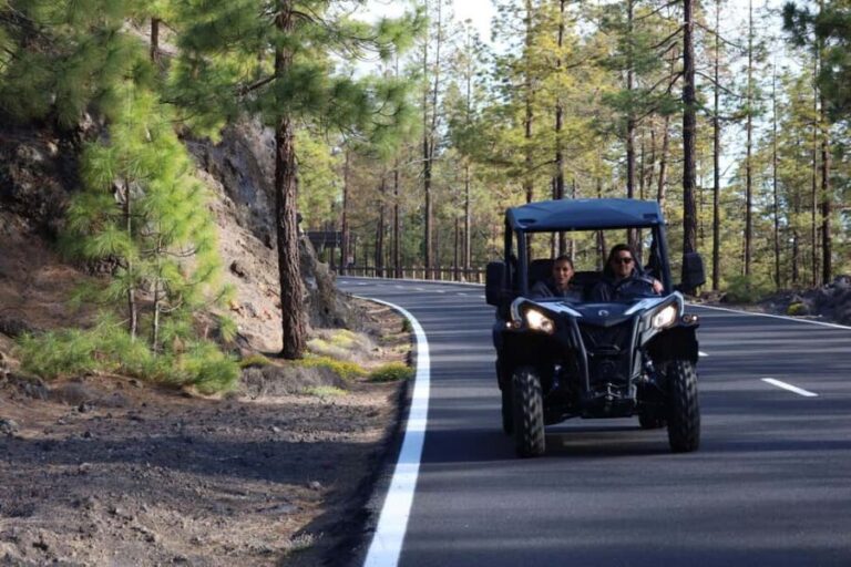 Puerto de la Cruz: Buggy Teide Sunset National Park - What Makes This Tour Stand Out?