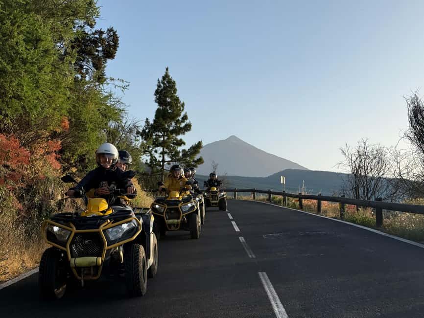 Puerto de la Cruz: Quad Tour to Teide or Off-Road Valley - Who Will Love This Tour?