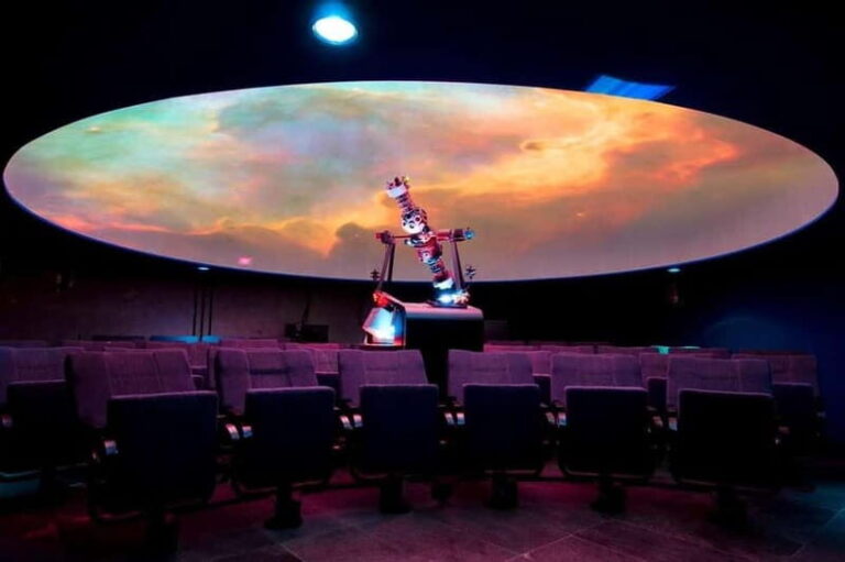 Puerto de la Cruz: VIP Getaway Tenerife Playa Teresitas, Science and Culture - Who Will Love This Tour?