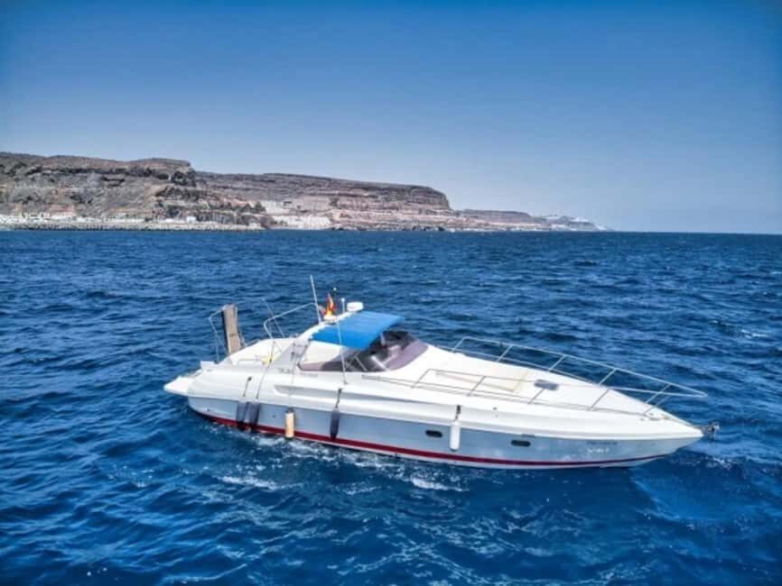 Puerto de Mogán: PRIVATE yacht for up to 9 people - Itinerary Breakdown: What You Can Expect