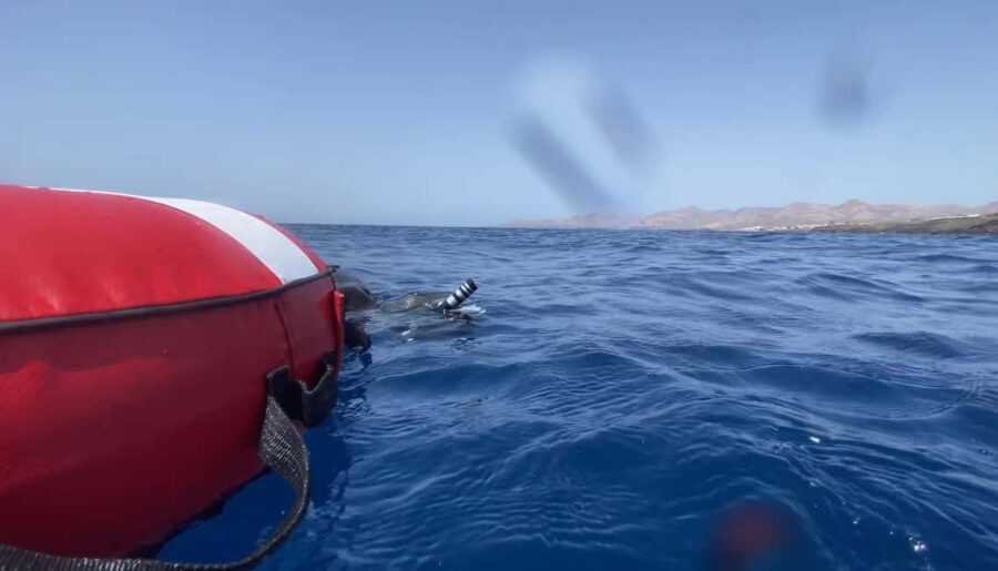 Puerto del Carmen: Freediving Try Dive in Pool or Open Water - Good To Know