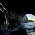 Puerto Vallarta: Bioluminescence in Los Arcos Marine Park - What to Expect on Your Bioluminescence Tour