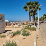 Quarteira and Vilamoura Half Day Tour - Exploring the Itinerary in Detail