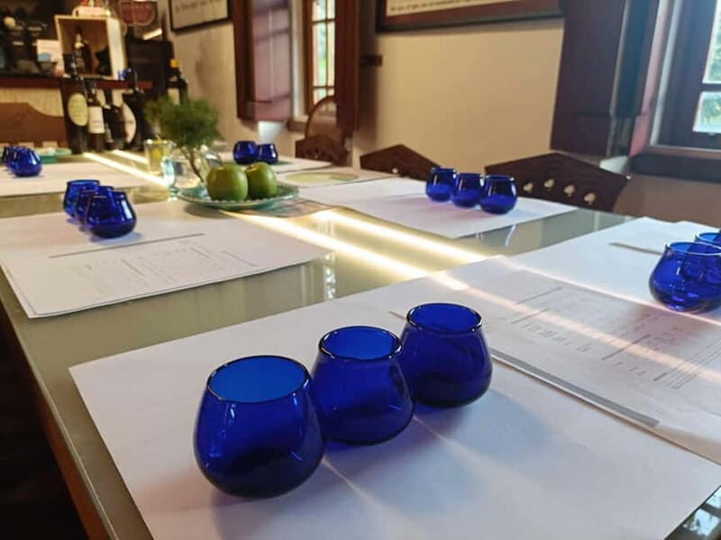 Quinta do Tedo: Olive Oil Tasting - Practical Details and Value