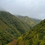 Rabaçal: 25 Fontes & Risco Levada Hiking Transfer - The Itinerary in Detail