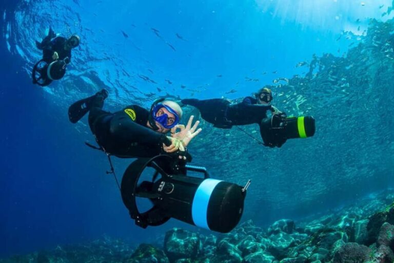 Radazul: Family-Friendly Jet Snorkeling Tour - Who Will Love This Tour?