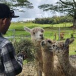 Ranch Tour & Animal Encounters - What to Expect from the Ola Nani Ranch Tour