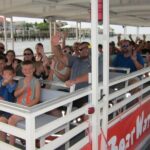 Red Boat Tours - Dolphin Odyssey and Sightseeing Tour - Value and Pricing Analysis