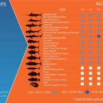 Reef Fishing in Vilamoura - Who Should Consider This Reef Fishing Trip?