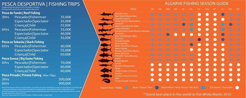 Reef Fishing in Vilamoura - Who Should Consider This Reef Fishing Trip?