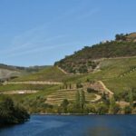 Régua/Pocinho/Régua - Authentic Flavors and Local Culture