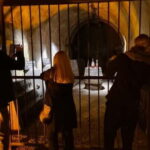 Reims: Big and small wineries day tour - What Makes This Tour Stand Out?