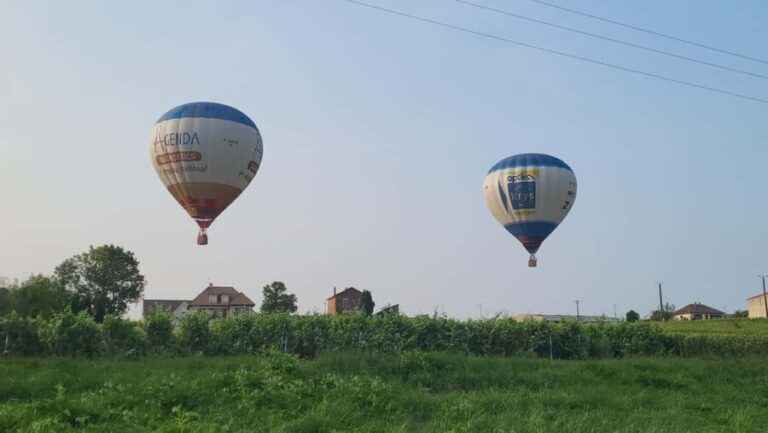 Reims (Pouillon) : Hot Air Balloon Flight with Champagne - What Makes This Tour Stand Out?