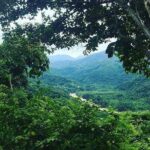 Rent DE mountain bikes - The Logistics: Practical Details