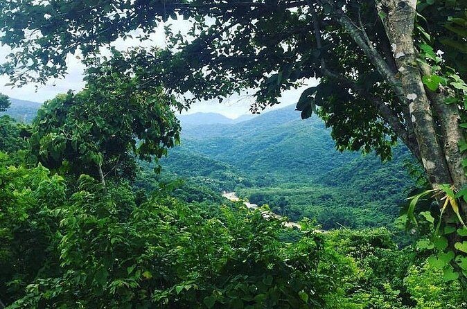 Rent DE mountain bikes - The Logistics: Practical Details