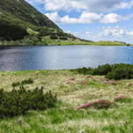 Retezat National Park: Full day hike from Cluj Napoca - Discovering Retezat: What Makes It Special?