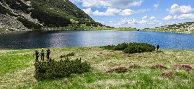 Retezat National Park: Full day hike from Cluj Napoca - Discovering Retezat: What Makes It Special?