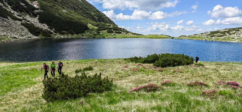 Retezat National Park: Full day hike from Cluj Napoca - Discovering Retezat: What Makes It Special?