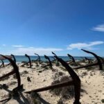 Return bike tour from Tavira to Olhão - Value and Practicalities