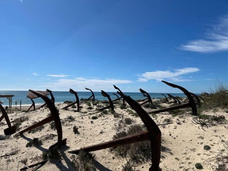 Return bike tour from Tavira to Olhão - Value and Practicalities