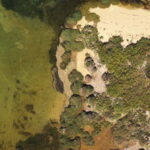 Ria Formosa: Armona and Culatra Islands 3-Hour Boat Tour - Who Will Love This Tour?