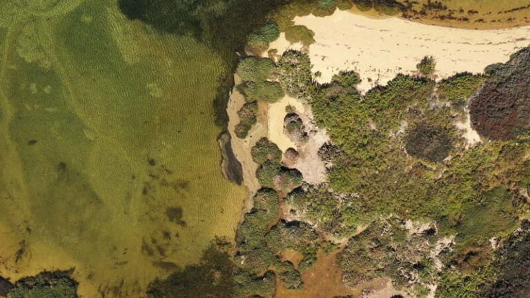 Ria Formosa: Armona and Culatra Islands 3-Hour Boat Tour - Who Will Love This Tour?