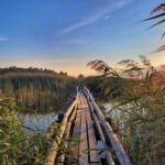 Riga: Best of Kemeri National Park In One Day - The Tour Itinerary Breakdown