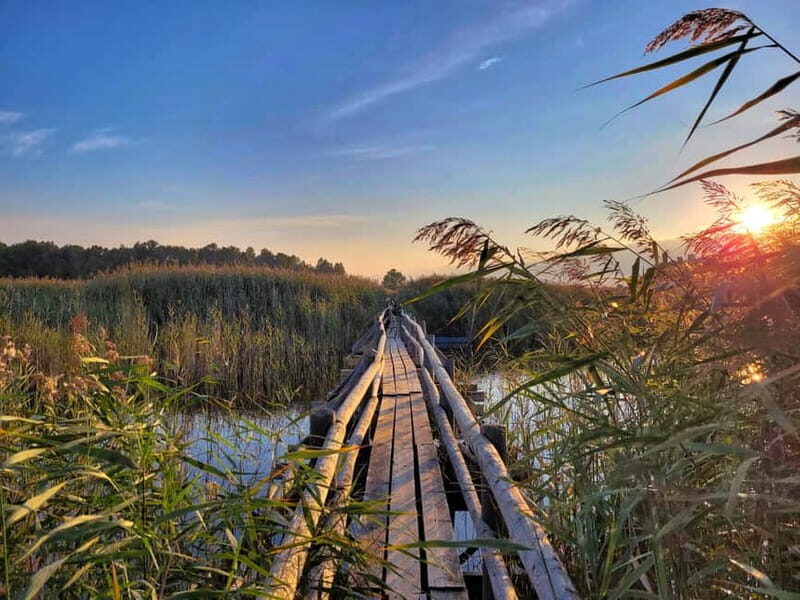 Riga: Best of Kemeri National Park In One Day - The Tour Itinerary Breakdown