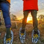 Riga: Bog-Shoe Tour in emeri National Park - The walking experience: What to expect