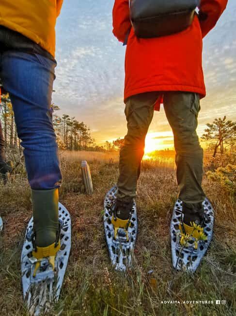 Riga: Bog-Shoe Tour in emeri National Park - The walking experience: What to expect