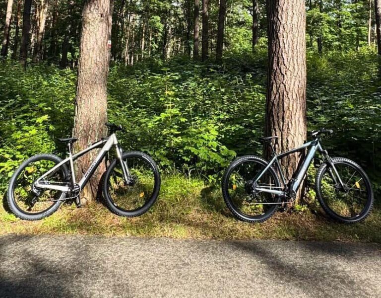 Riga: Electric Bike Rental with Helmet and Lock - Who Should Consider This Experience?