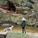 Riga: Husky Hike in the Nature Trail - Exploring Latvia’s Nature