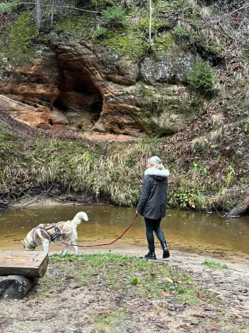 Riga: Husky Hike in the Nature Trail - Exploring Latvia’s Nature