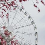 Riga Rise: Giant Panoramic Wheel Ticket - Additional Considerations