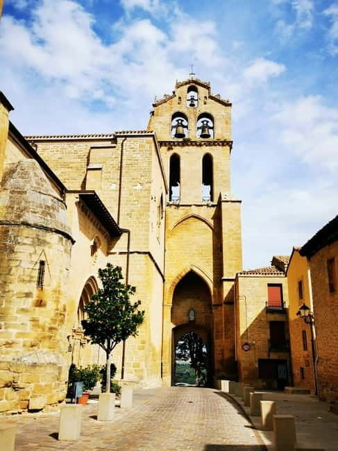 Rioja: Wine Tour with a Local Expert with Tastings - The Sum Up