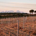 Rivesaltes - Secrets du Terroir and Unique Wine Tasting! - Itinerary Breakdown