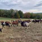 Rocamadour: Travel sketchbook - The Itinerary: What to Expect