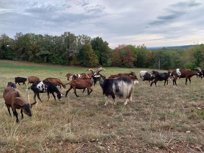 Rocamadour: Travel sketchbook - The Itinerary: What to Expect