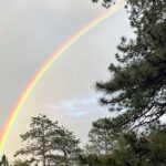 Rocky Mountain National Park The Best of Rocky Tour - The Full Experience: What to Expect