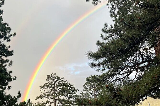 Rocky Mountain National Park The Best of Rocky Tour - The Full Experience: What to Expect