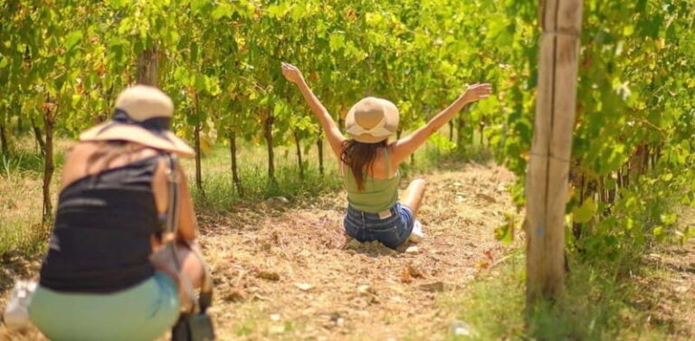 Romanian Wine Tasting Tour & Appetizers with Sommelier - An Honest Look at the Experience